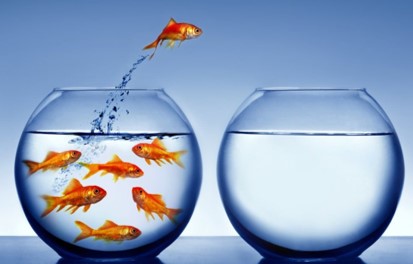 پیشتازان مهر، از تابستان آغاز میکنند!