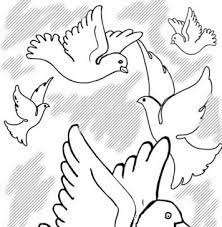 تمرین خواندن برای فهمیدن - اتحاد کبوترها
